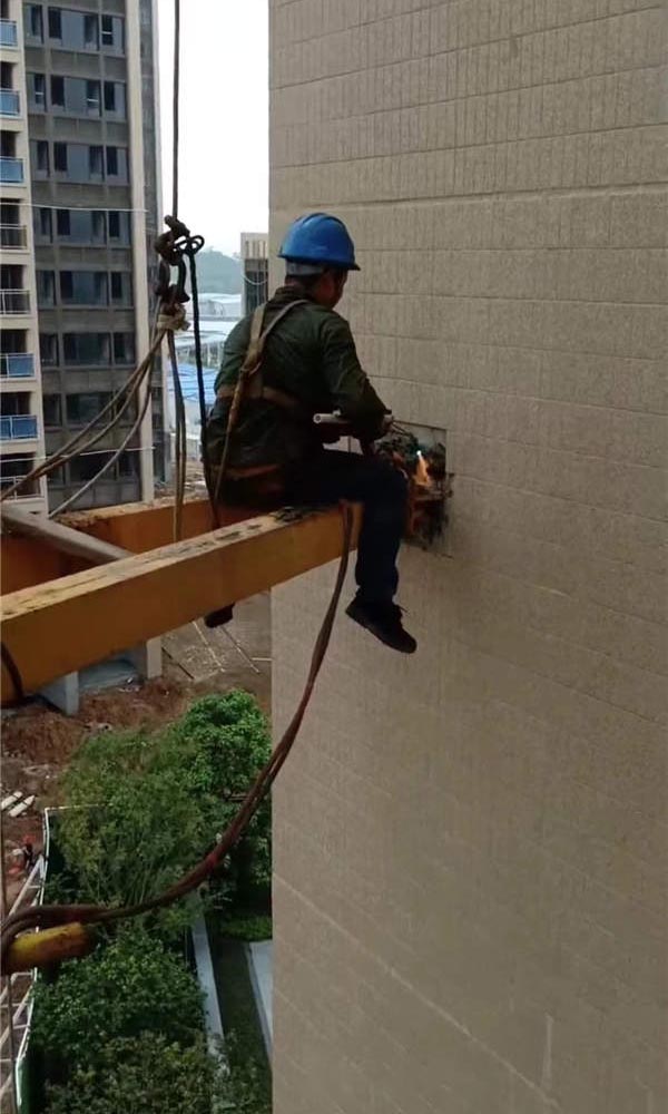 �≦�A�Ƙ�����������Q