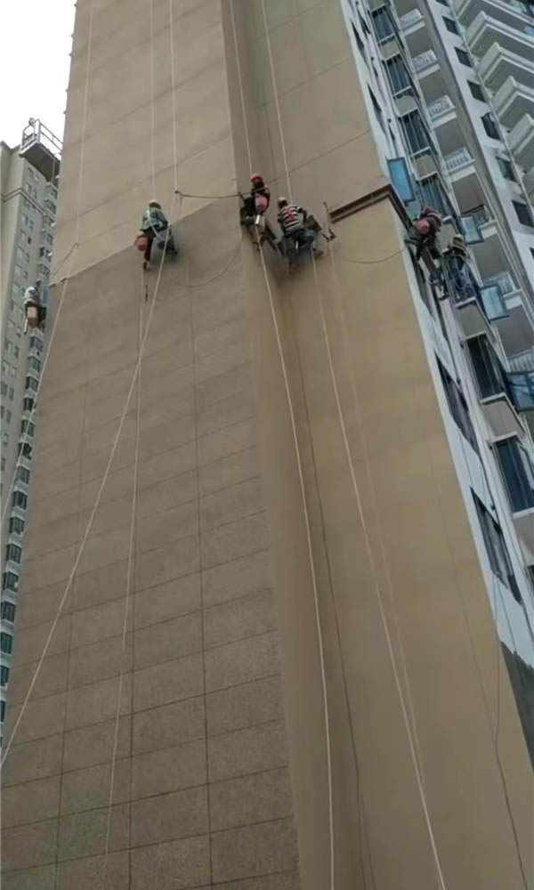 �V�|�≦�A�Ƙ�����������Q